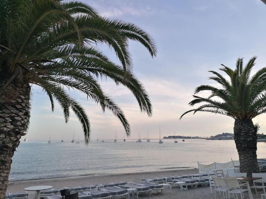 "Le Palmier Dore", Cosy T3 A 3 Minutes A Pied Des Plages, Parking Et Clim Sanary-sur-Mer Exterior photo
